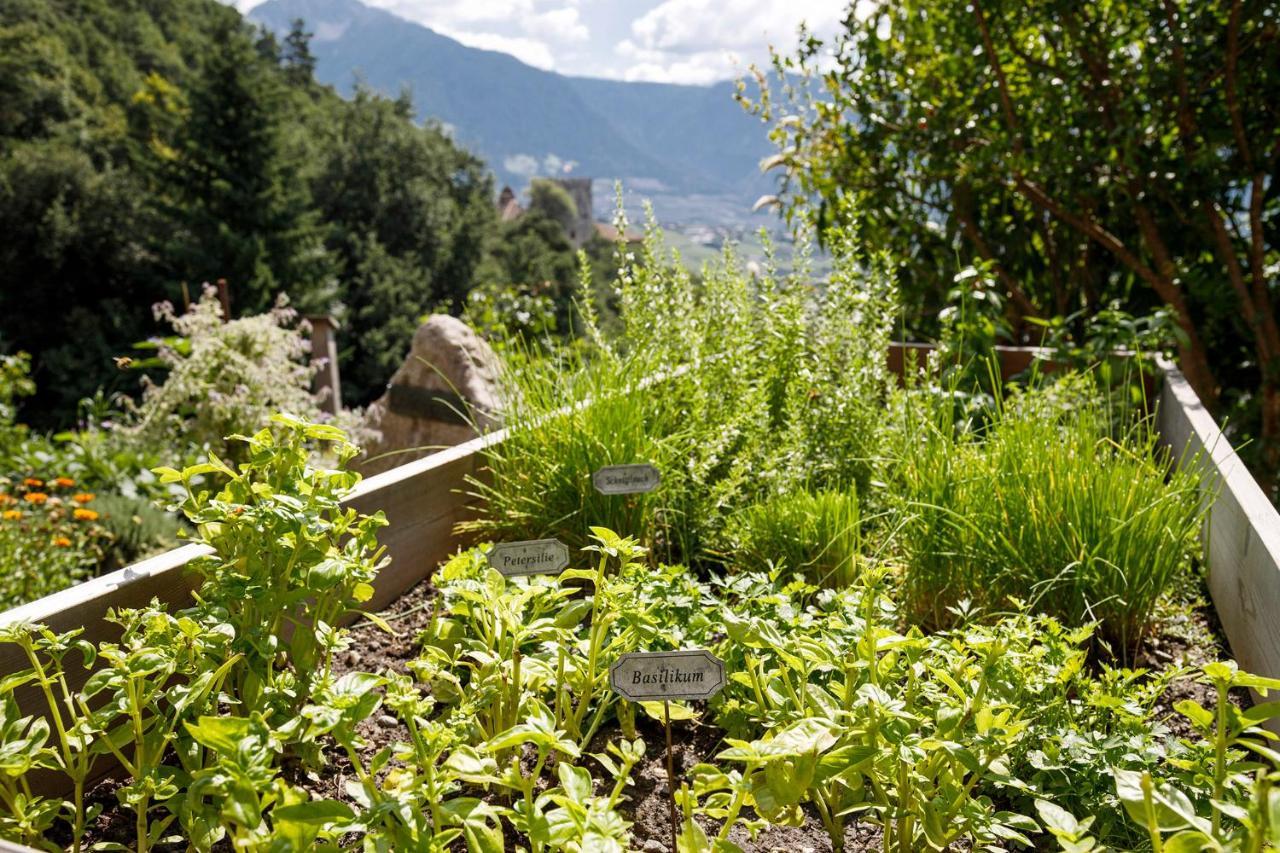 Hôtel Garni Oberanger à Tirolo Extérieur photo